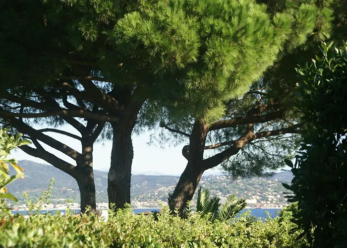 Vakantiehuis In Near Beaches & Pool *